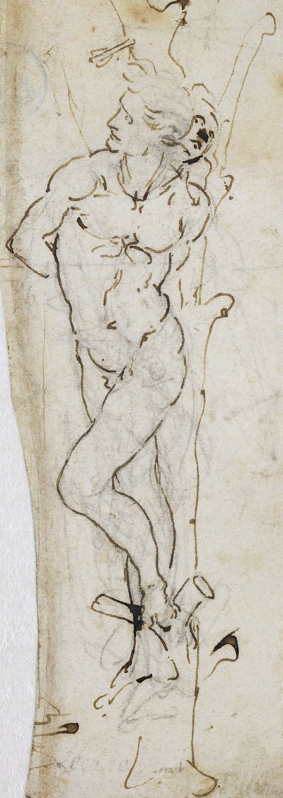 Studie des Hl. Sebastian, 1480-81 von Leonardo da Vinci